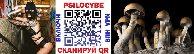 Псилоцибиновые грибы мухоморы  Петровск-Забайкальский 